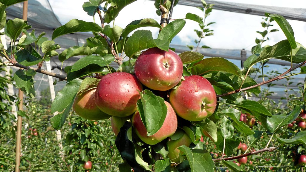 2011-08-02 09.36.01.jpg